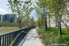 最大约42米栋距